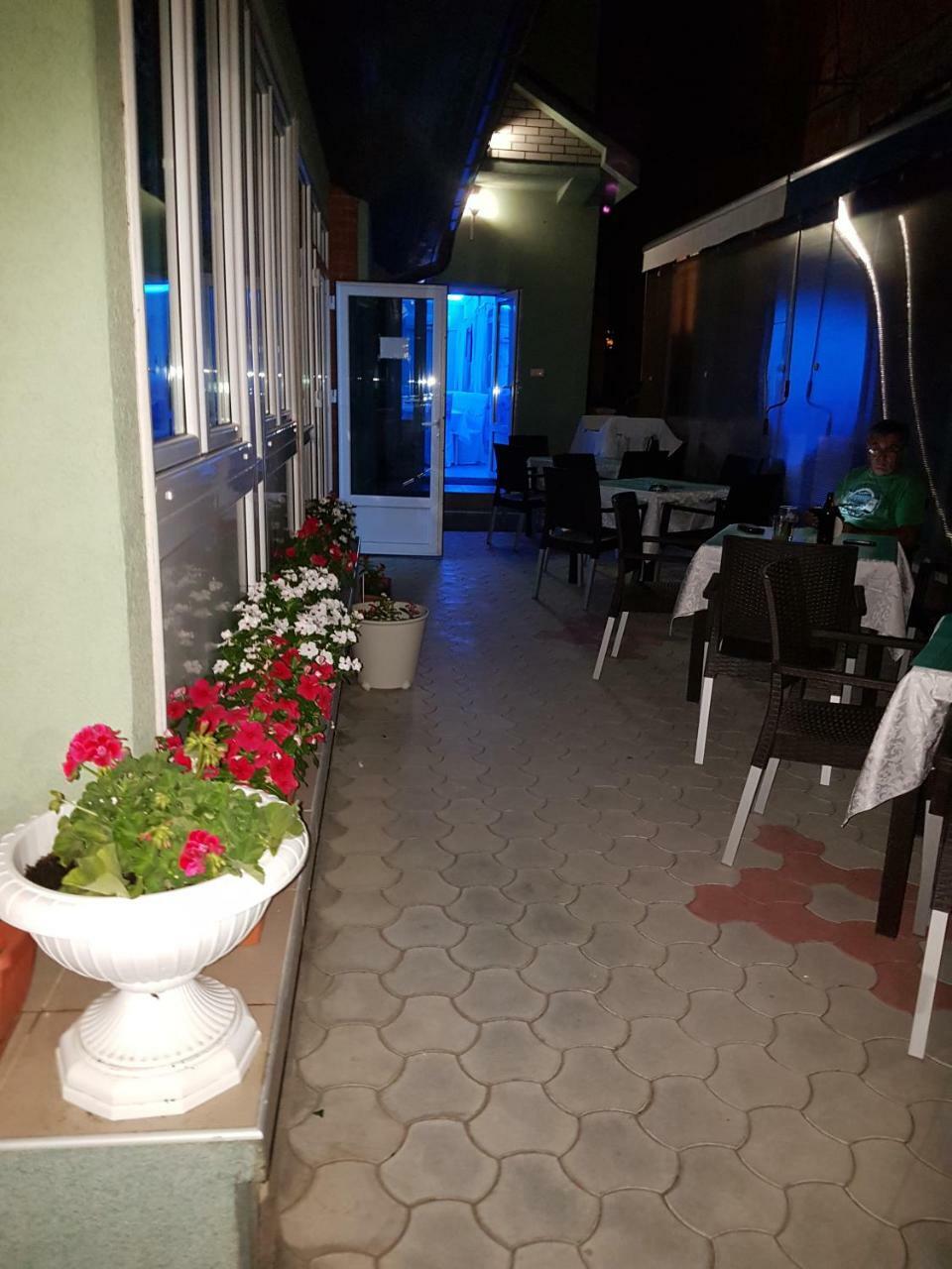Golden Danube Bed and Breakfast Veliko Gradište Exteriör bild