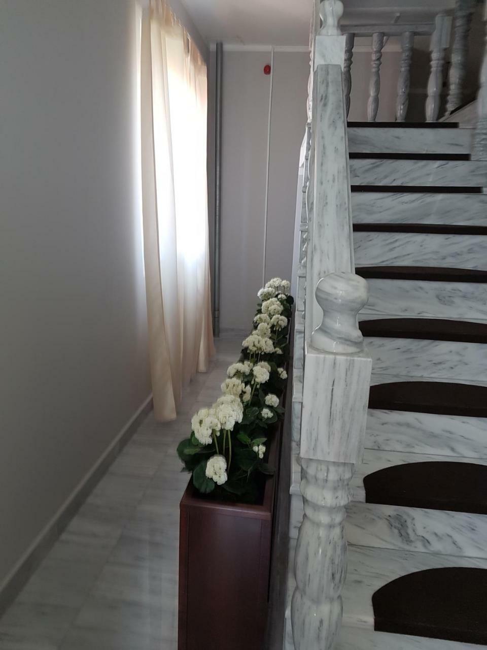 Golden Danube Bed and Breakfast Veliko Gradište Exteriör bild